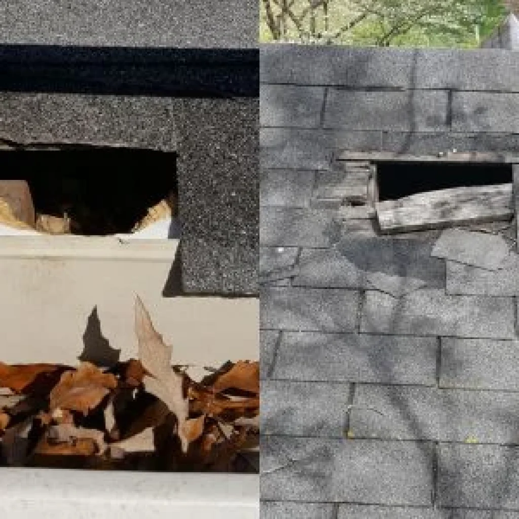 Roof Damage from Nature